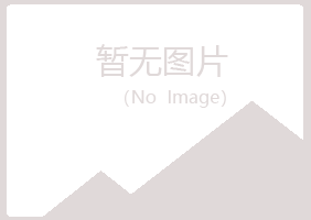 淄博淄川夏彤能源有限公司